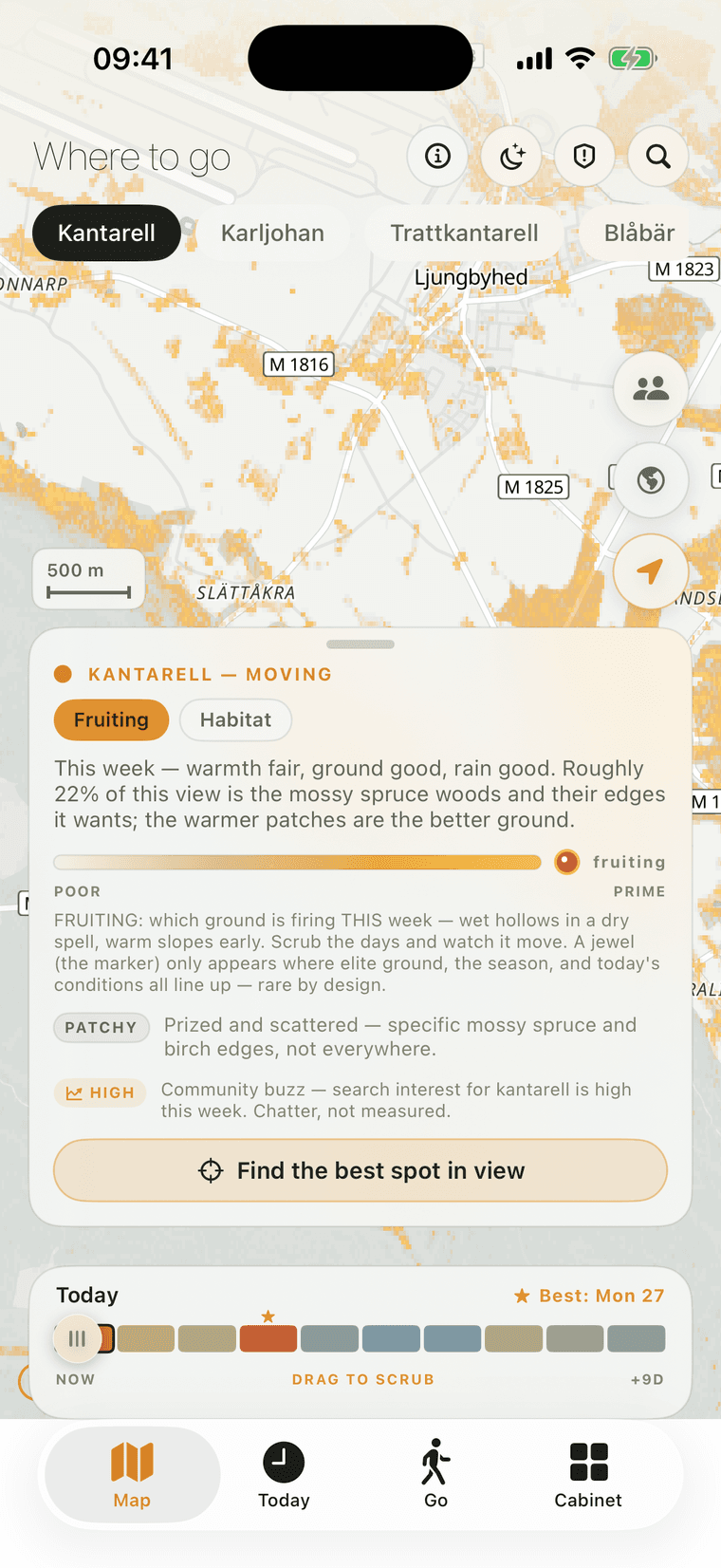 The app's map over Ljungbyhed and Slättåkra with gold kantarell habitat suitability painted across the forest, a species row along the top reading Kantarell, Karljohan, Trattkantarell and Blåbär, a five-hundred-metre scale bar, and a card headed 'Kantarell — moving' with a poor-to-prime scale and a 'Find the best spot in view' button.