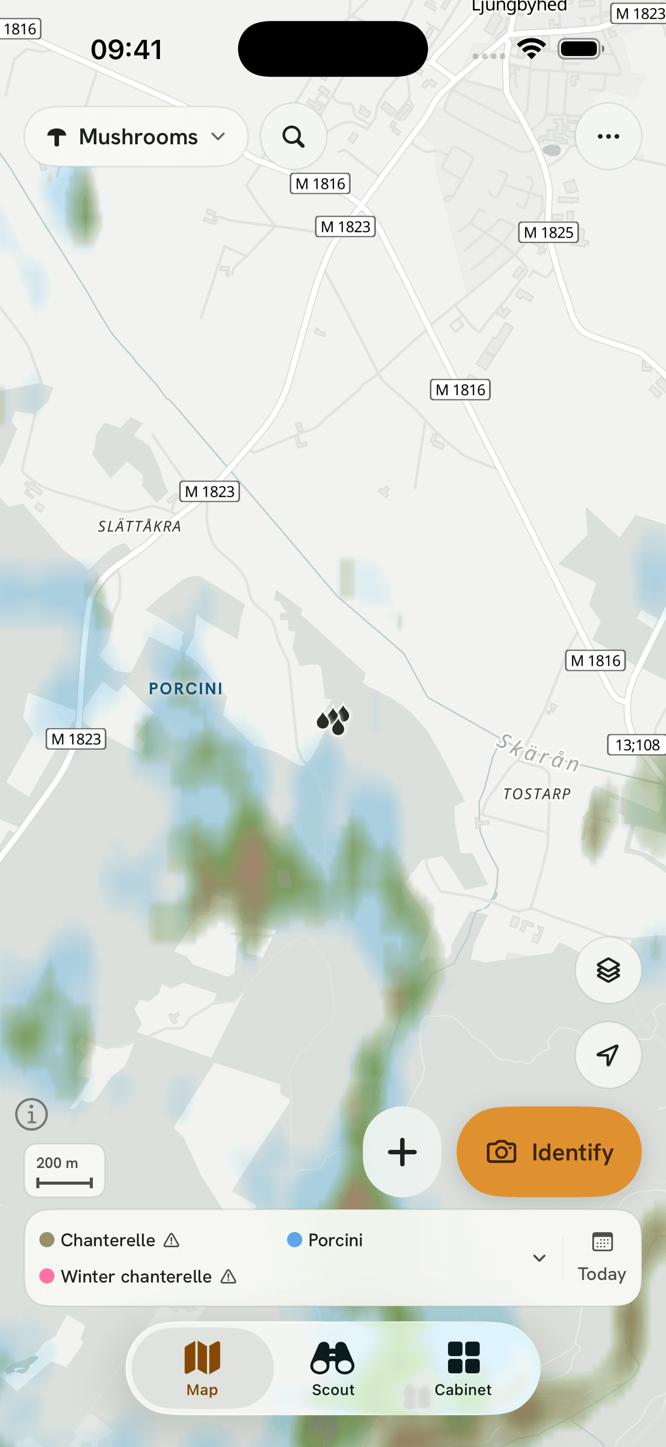 The foot of the Map tab on an iPhone: mushroom ground painted in colour, the species row, and the three tabs Map, Scout and Cabinet.
