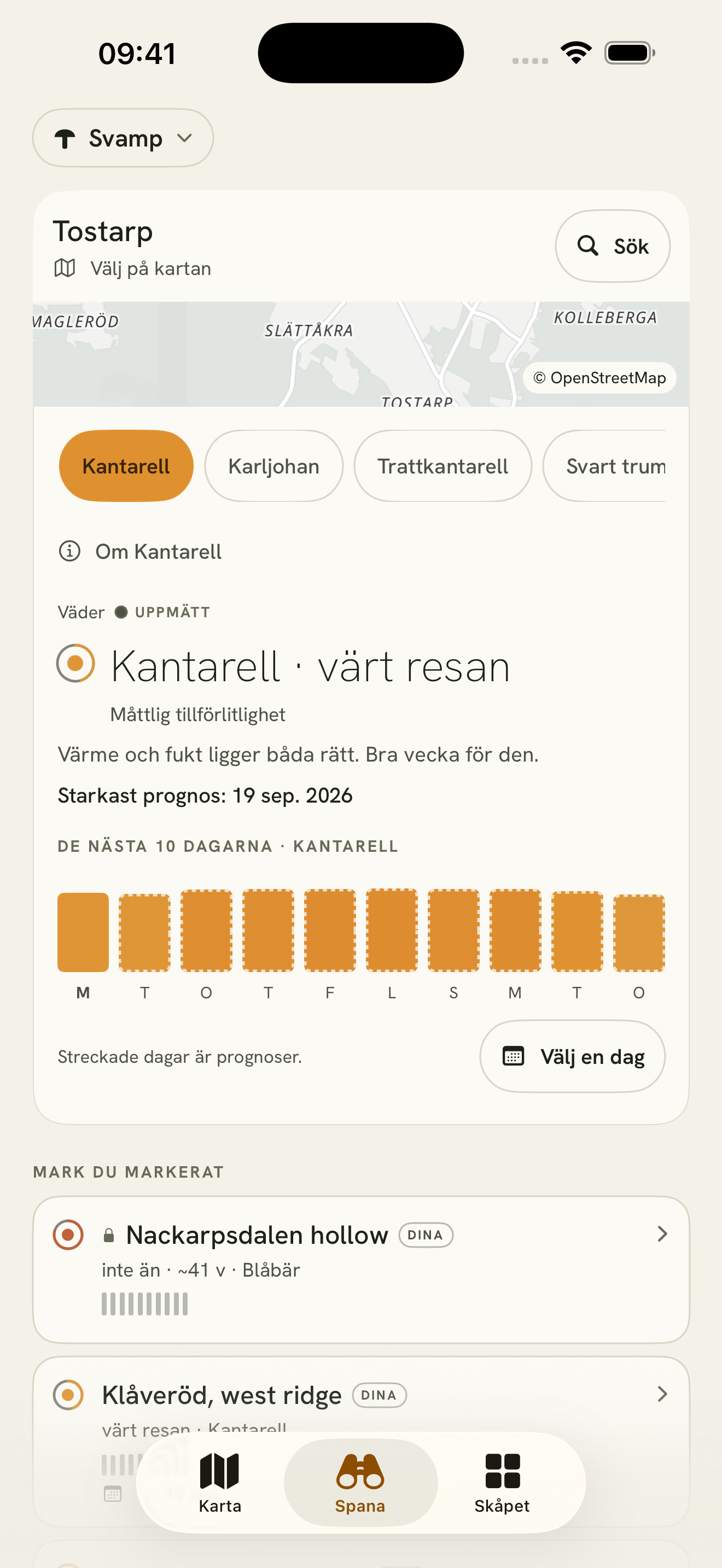 Spana för Tostarp: Kantarell · värt turen med måttlig säkerhet, etiketten Väder · UPPMÄTT, och tio dagstaplar för de kommande tio dagarna ovanför knappen Välj en dag.